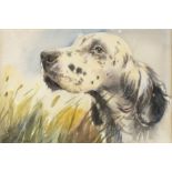 L* FRASER Watercolour Portrait of an English Setter Signed 6.25” x 9” (16cm x 23.5cm)