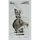 Brian HANSCOMB (b.1944) Black & white etching ‘Otter’ Inscribed, signed & numbered 34/100 Unframed