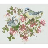 Shirley Ann JOHNSON Watercolour with bodycolour ‘Blue Tits on honeysuckle’ Circa 1980 Signed 9” x