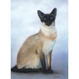 Alan WESTON (b.1951) Gouache Siamese Cat Signed 11” x 8” (27.9cm x 20.3cm)