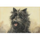 L* FRASER Watercolour Portrait of a Cairn Terrier Signed 6.25” x 9.25” (16cm x 23.5cm)