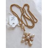 Gold snowdrop pearl pendant on chain 6.5g