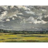 Simon Coleman RHA (1916-1995) THE COMMONS, DULEEK, COUNTY MEATH oil on canvas signed on reverse 13 x