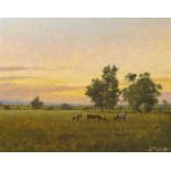 Padraig Lynch (b.1936) CATTLE AT DUSK, ARDEE BOG, 1998 oil on canvas board signed lower right;