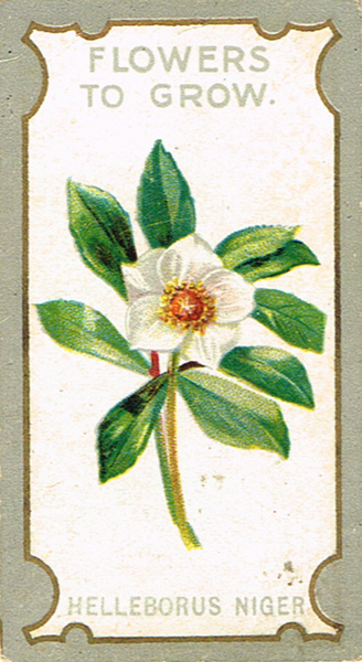 Cigarette cards: a good collection including some scarcer sets from Lea, Lambert & Butler, - Image 2 of 3