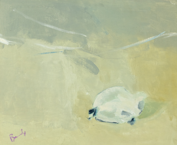 Charles Brady HRHA (1926-1997) OYSTER SHELL, 1994 oil on linen signed lower left; inscribed on