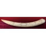 Ivory Carved 19C Tusk Approx 49cm