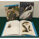 Audubons Aviary book, The original watercolours for The birds of America