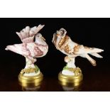 A Pair of Fine Paris Porcelain Doves perched on round bases with gilt metal mounts and sprays of