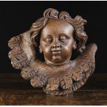 A 17th Century Flemish Carved Oak Cherub's Head depicted with curly hair above a feathered collar,