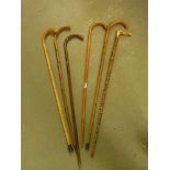 A quantity of walking sticks - some with