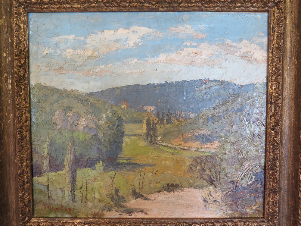 An oil on board  Italian Landscape - signed Dunlop - Pathway to foreground wooded valley - in a