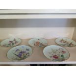 Five late 19th century hand-painted Botanical plates by Aynsley impressed Aynsley's to base circa