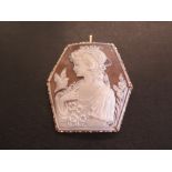 A hexagonal shell cameo pendant - depicting a lady and a bird - Stamped 750 - Length 6.3cms -