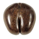 A Coco de Mer (Lodoicea Maldivica), with a polished brown patination, 31 x 29cm.