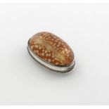 A late 18th / early 19th century silver-mounted cowrie shell snuff box, unmarked, circa 1800,