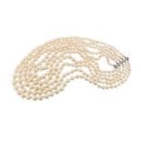 A five row graduated cultured pearl choker~length necklace, the cultured pearls graduate from 5.60