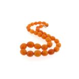 A graduated amber bead necklace, 53cm. 50g.