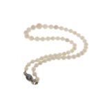 An opal bead necklace, the graduated beads are each separated with a faceted crystal rondel, with an