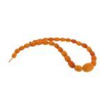 A graduated amber bead necklace. 45cm. 38g.