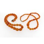 An amber bead necklace, 19g and an amber bead necklace 29g.