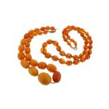 A graduated amber bead necklace, 44cm. 40g. And a smaller clear amber bead necklace. 60cm. 28g.