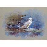 ‡ Gordon Beningfield (1936-1998) A barn owl, 1936 Signed Watercolour on buff paper 32 x 44cm