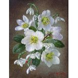 ‡ Cecil Kennedy (1905-1997) Winter - Hellebores and Snowdrops Signed Oil on canvas 25 x 20cm