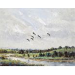‡ Ian Houston (b.1934) Canada geese in summer, Gloucester Signed Oil on board 40.5 x 50.5  ++Good