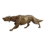 An Austrian cold painted bronze model of a setter by Bergman, stamped 'GESCHUTZT', and 'B in a vase'