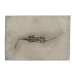 A Keichousaurus hui fossil, set in a stone plaque, 22.5 x 32.5cm.