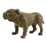 An Austrian cold painted bronze model of a bulldog in the manner of Bergman, late 19th century, 9.