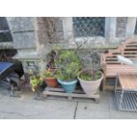 Five contemporary moulded plastic planters of varying size, two with simulated terracotta and