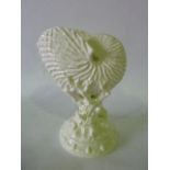 A Royal Worcester white glazed vase in the form of a nautilus shell supported by coral and shells,