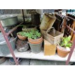 A galvanised bucket with loop handle, a small quantity of terracotta flower pots of varying size (