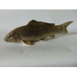 A model of a carp naturalistically modelled and painted in tones of grey, with impressed mark to