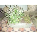 A weathered natural stone trough of rectangular form 67 x 41 cm approximately (planted)