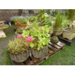 A pair of weathered cast composition stone garden planters of octagonal form with foliate relief