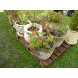 A cast composition stone garden planter of circular form with  procession of frolicking cherub