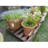 A pair of weathered contemporary terracotta planters of circular ribbed and tapered form, a