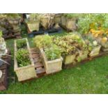 A pair of cast composition stone garden planters of rectangular form with fluted detail together