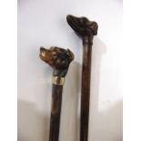 A slender bamboo walking cane terminating in a well carved knop in the form of a dog mask with