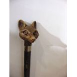 A tapering timber walking cane terminating with a composite knop handle in the form of a fox mask