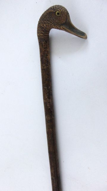 A one piece walking stick, the handle carved in the form of a ducks head with inquisitive expression