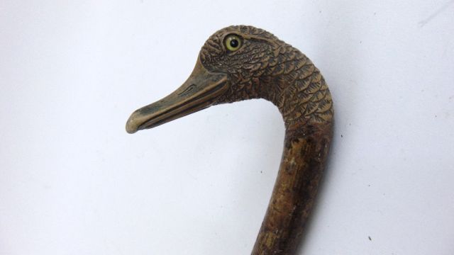 A one piece walking stick, the handle carved in the form of a ducks head with inquisitive expression - Image 4 of 4