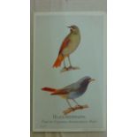 A collection of 21 cards showing parrots, finches and wild song birds advertising Caperns bird food