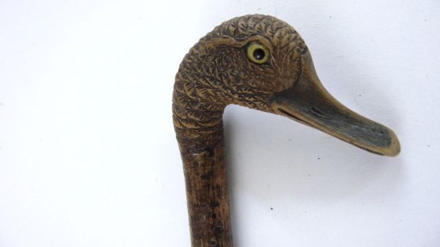 A one piece walking stick, the handle carved in the form of a ducks head with inquisitive expression - Image 2 of 4