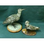 2 Taxidermy Birds To bid live please visit www.yeovilauctionrooms.com