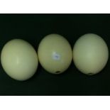 3 Ostrich Eggs To bid live please visit www.yeovilauctionrooms.com