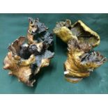 Collection Of 4 Pieces Of Chicken Of The Wood And Roots To bid live please visit www.